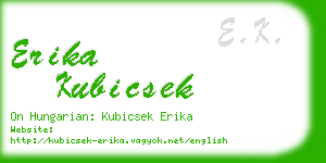 erika kubicsek business card